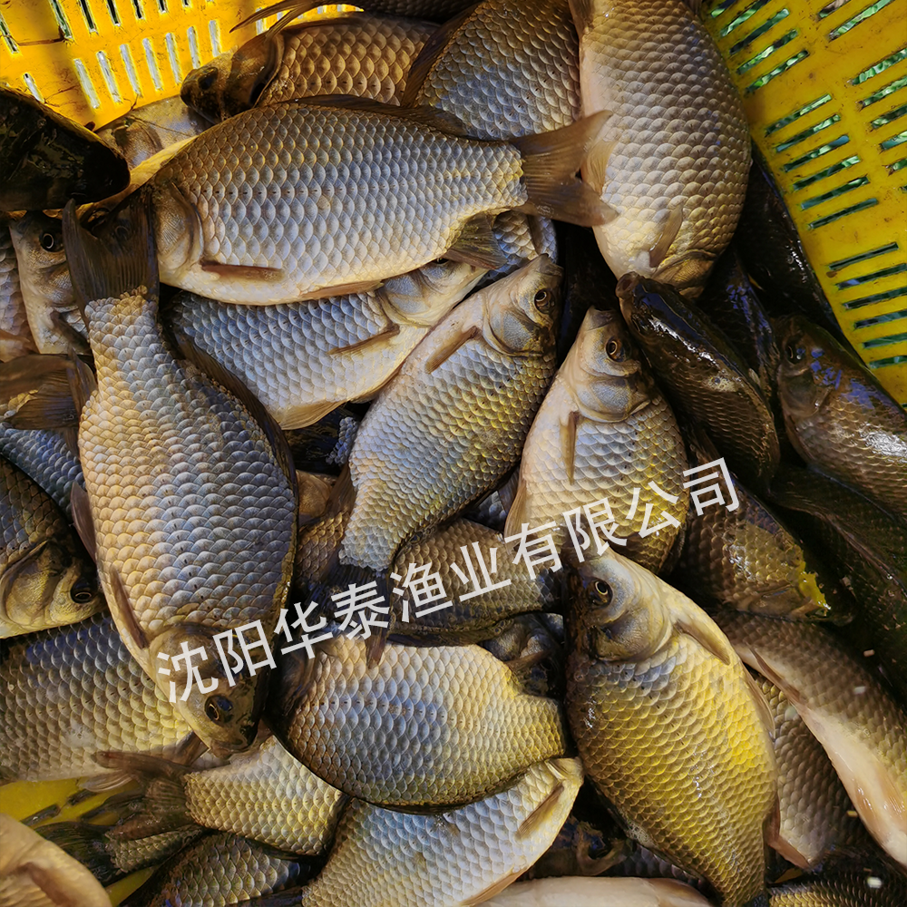 &#19975;&#35937;&#22478;&#22312;&#32447;&#30331;&#24405;&#32;&#45;&#32;&#19975;&#35937;&#22478;&#65288;&#20013;&#22269;&#65289;&#45;&#19975;&#35937;&#22478;&#65288;&#20013;&#22269;&#65289;