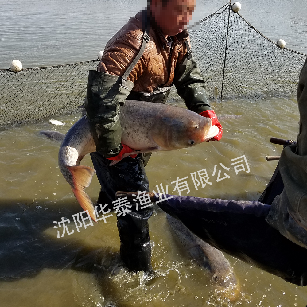 &#19975;&#35937;&#22478;&#22312;&#32447;&#30331;&#24405;&#32;&#45;&#32;&#19975;&#35937;&#22478;&#65288;&#20013;&#22269;&#65289;&#45;&#19975;&#35937;&#22478;&#65288;&#20013;&#22269;&#65289;