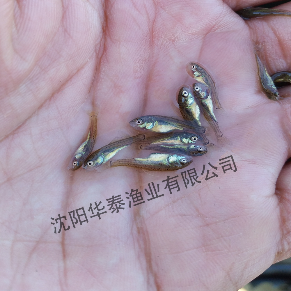 &#19975;&#35937;&#22478;&#22312;&#32447;&#30331;&#24405;&#32;&#45;&#32;&#19975;&#35937;&#22478;&#65288;&#20013;&#22269;&#65289;&#45;&#19975;&#35937;&#22478;&#65288;&#20013;&#22269;&#65289;