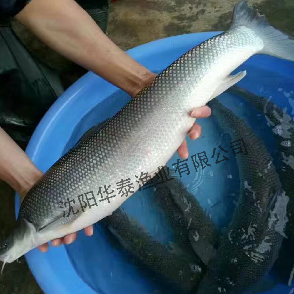 &#19975;&#35937;&#22478;&#22312;&#32447;&#30331;&#24405;&#32;&#45;&#32;&#19975;&#35937;&#22478;&#65288;&#20013;&#22269;&#65289;&#45;&#19975;&#35937;&#22478;&#65288;&#20013;&#22269;&#65289;