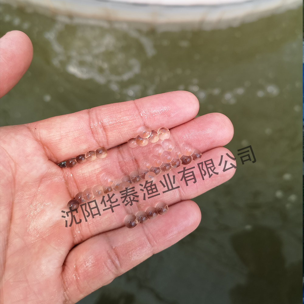&#19975;&#35937;&#22478;&#22312;&#32447;&#30331;&#24405;&#32;&#45;&#32;&#19975;&#35937;&#22478;&#65288;&#20013;&#22269;&#65289;&#45;&#19975;&#35937;&#22478;&#65288;&#20013;&#22269;&#65289;
