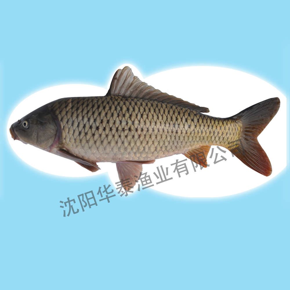 &#19975;&#35937;&#22478;&#22312;&#32447;&#30331;&#24405;&#32;&#45;&#32;&#19975;&#35937;&#22478;&#65288;&#20013;&#22269;&#65289;&#45;&#19975;&#35937;&#22478;&#65288;&#20013;&#22269;&#65289;