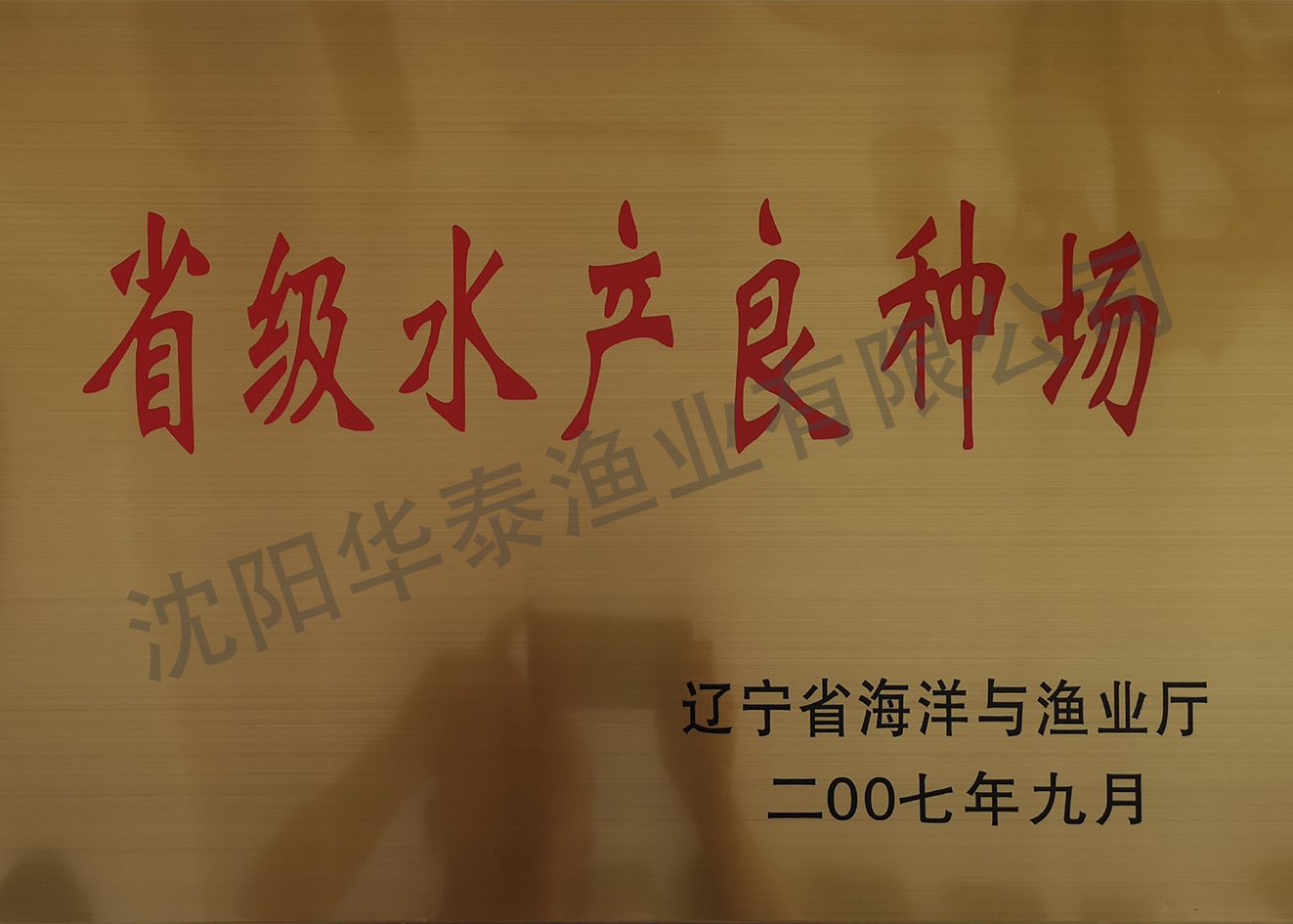 &#19975;&#35937;&#22478;&#22312;&#32447;&#30331;&#24405;&#32;&#45;&#32;&#19975;&#35937;&#22478;&#65288;&#20013;&#22269;&#65289;&#45;&#19975;&#35937;&#22478;&#65288;&#20013;&#22269;&#65289;