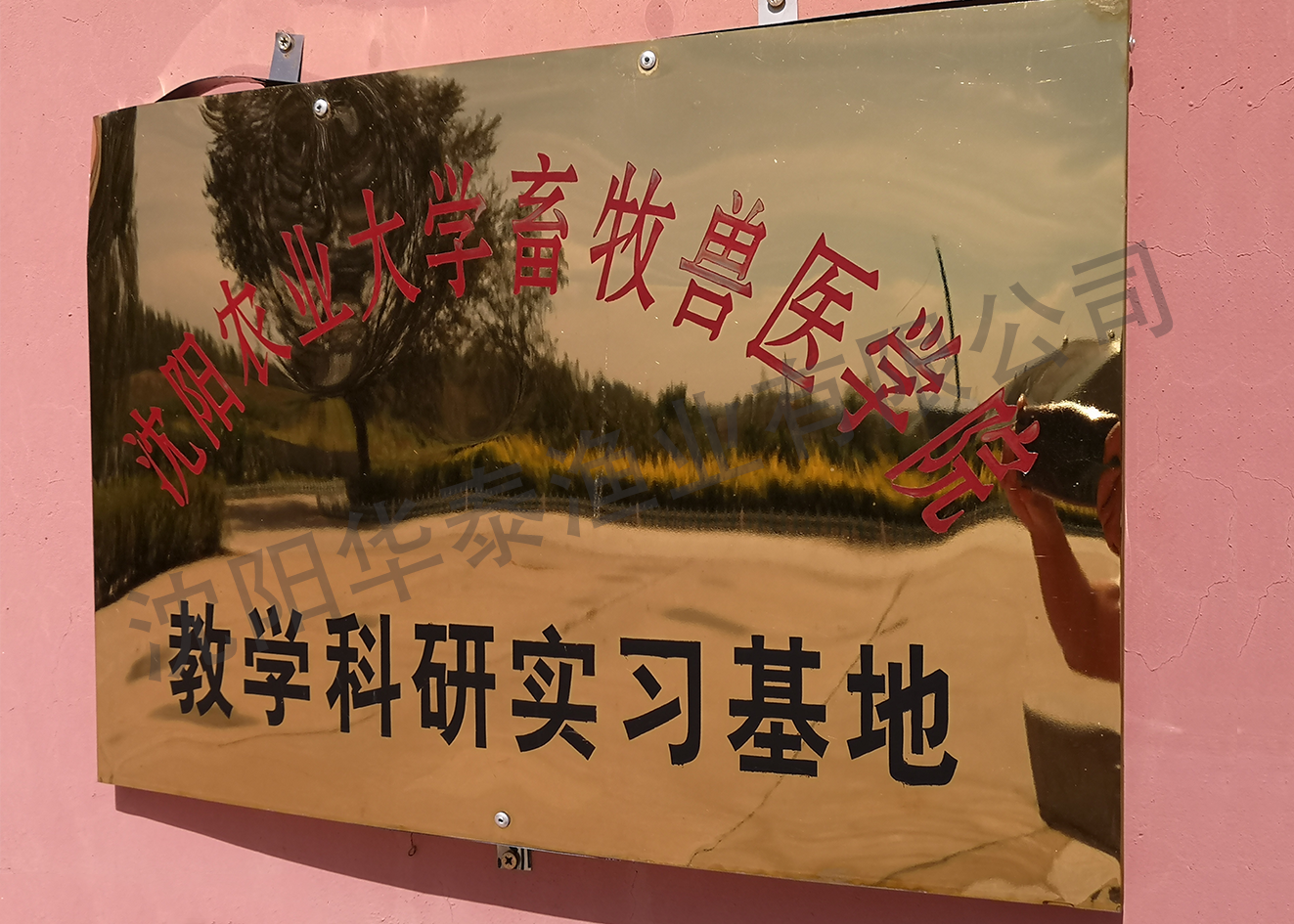 &#19975;&#35937;&#22478;&#22312;&#32447;&#30331;&#24405;&#32;&#45;&#32;&#19975;&#35937;&#22478;&#65288;&#20013;&#22269;&#65289;&#45;&#19975;&#35937;&#22478;&#65288;&#20013;&#22269;&#65289;